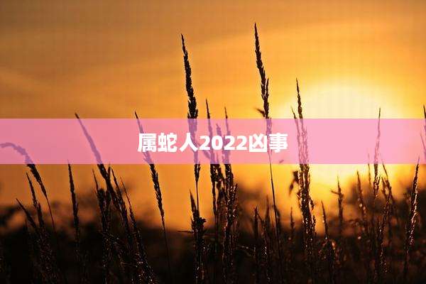 属蛇人2022凶事