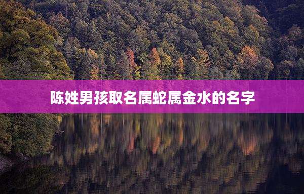 陈姓男孩取名属蛇属金水的名字