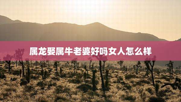 属龙娶属牛老婆好吗女人怎么样