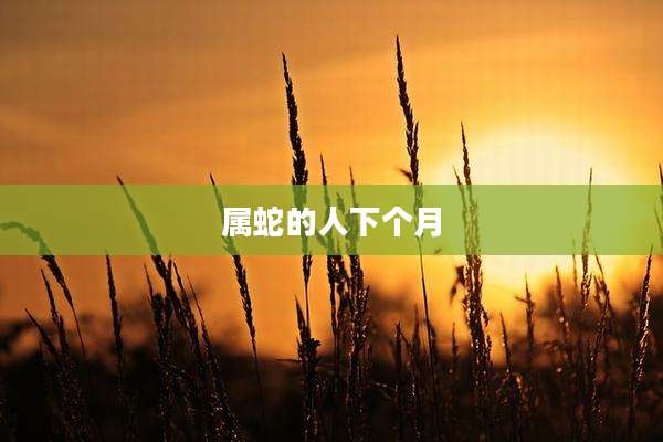 属蛇的人下个月