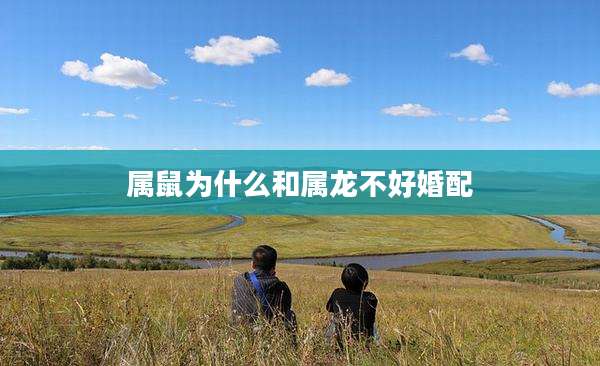 属鼠为什么和属龙不好婚配