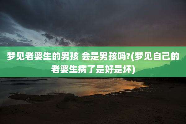 梦见老婆生的男孩 会是男孩吗?(梦见自己的老婆生病了是好是坏)