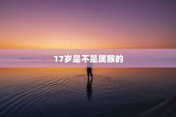 17岁是不是属猴的