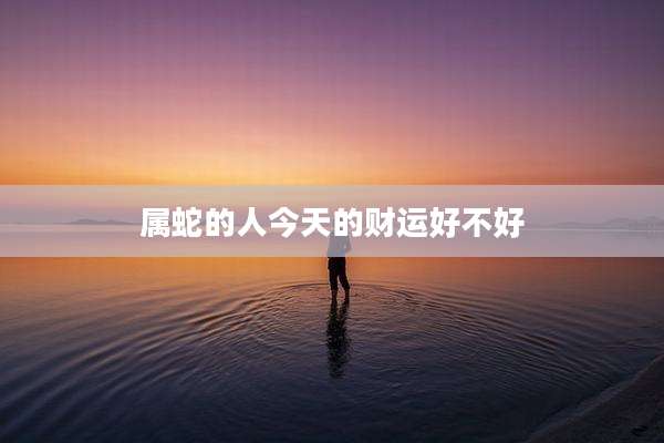 属蛇的人今天的财运好不好