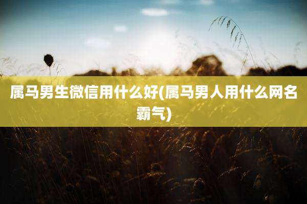 属马男生微信用什么好(属马男人用什么网名霸气)