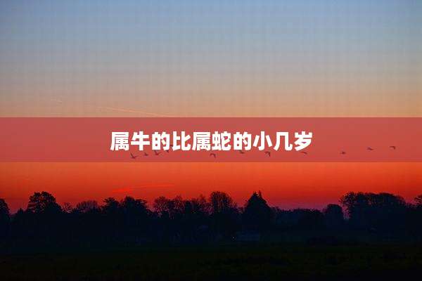 属牛的比属蛇的小几岁