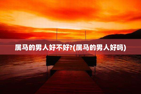 属马的男人好不好?(属马的男人好吗)