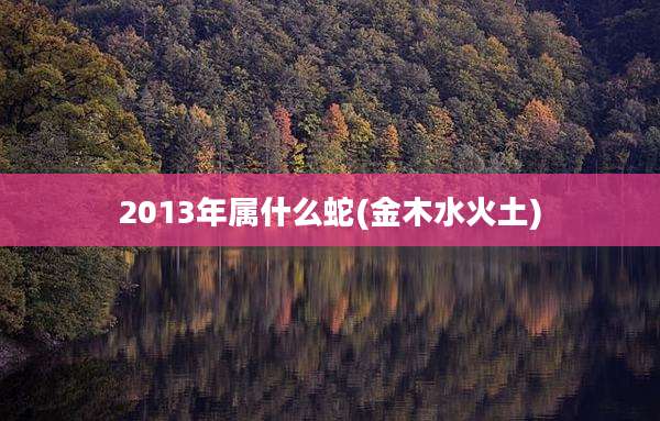 2013年属什么蛇(金木水火土)