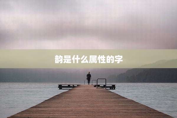 韵是什么属性的字