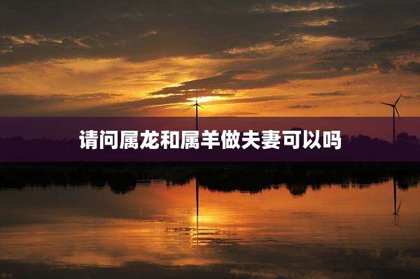 请问属龙和属羊做夫妻可以吗