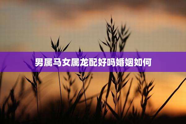 男属马女属龙配好吗婚姻如何