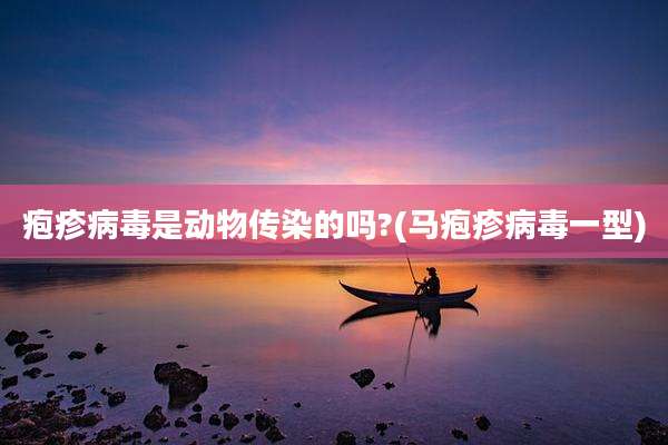 疱疹病毒是动物传染的吗?(马疱疹病毒一型)