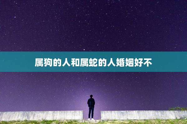 属狗的人和属蛇的人婚姻好不