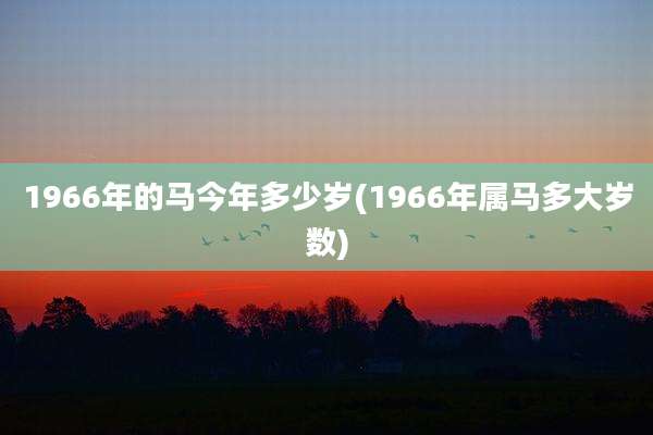 1966年的马今年多少岁(1966年属马多大岁数)
