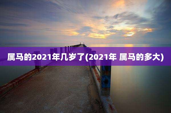 属马的2021年几岁了(2021年 属马的多大)