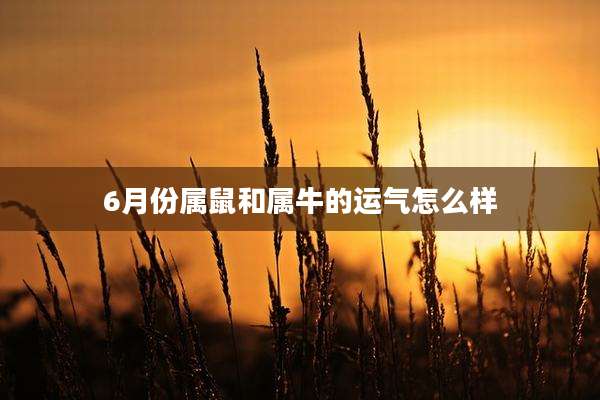 6月份属鼠和属牛的运气怎么样