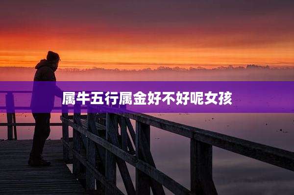 属牛五行属金好不好呢女孩