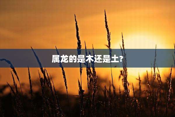 属龙的是木还是土?
