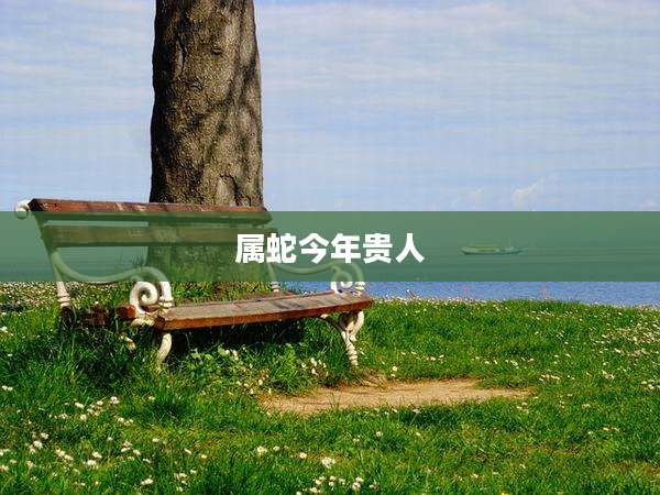 属蛇今年贵人