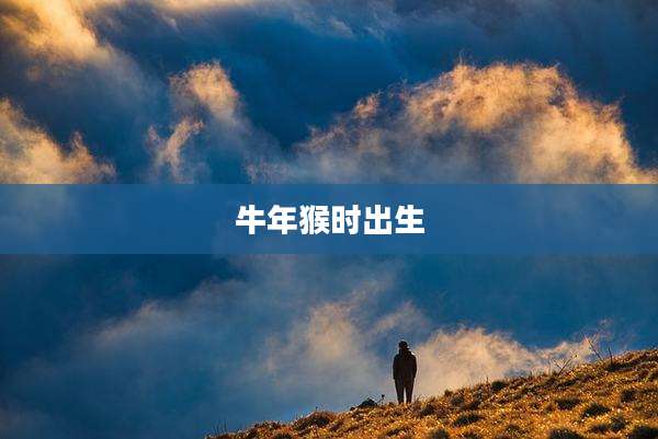 牛年猴时出生