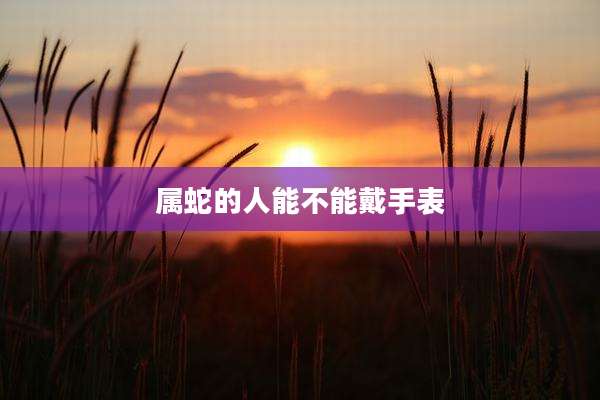 属蛇的人能不能戴手表