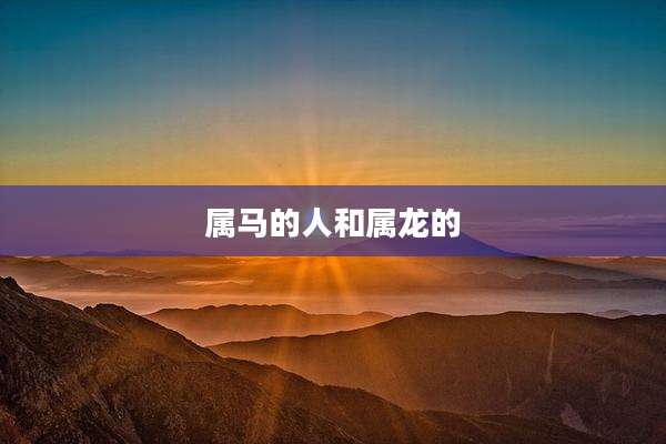 属马的人和属龙的