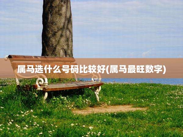 属马选什么号码比较好(属马最旺数字)