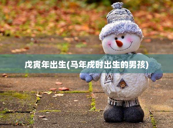 戊寅年出生(马年戍时出生的男孩)