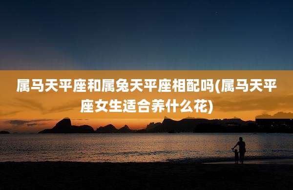 属马天平座和属兔天平座相配吗(属马天平座女生适合养什么花)