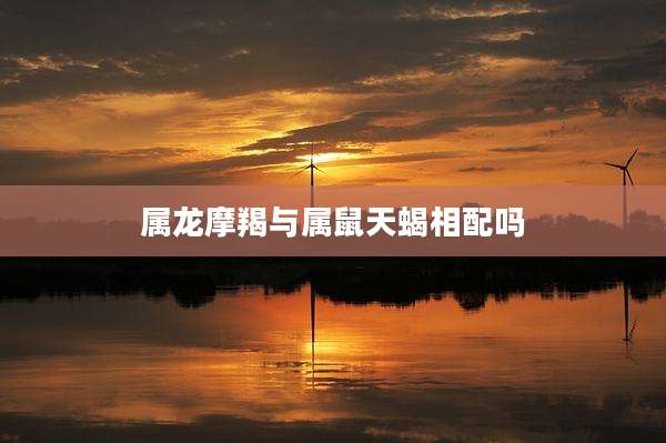 属龙摩羯与属鼠天蝎相配吗