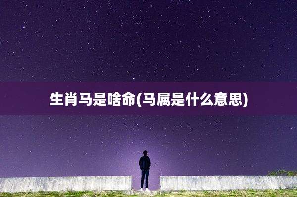 生肖马是啥命(马属是什么意思)