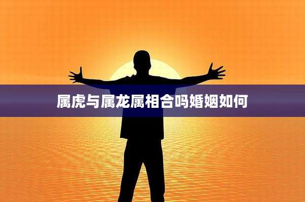 属虎与属龙属相合吗婚姻如何