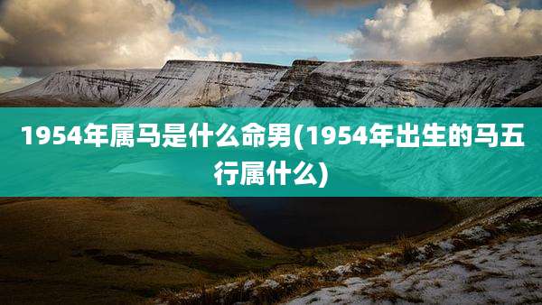 1954年属马是什么命男(1954年出生的马五行属什么)