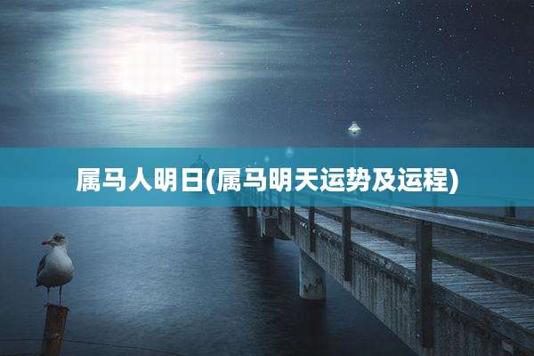 属马人明日(属马明天运势及运程)