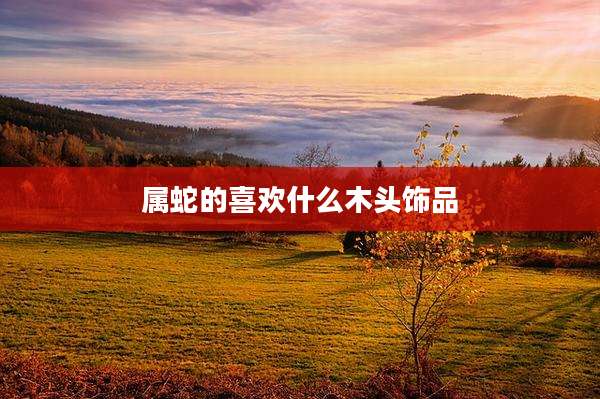 属蛇的喜欢什么木头饰品