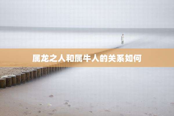 属龙之人和属牛人的关系如何