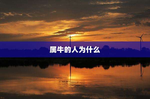 属牛的人为什么