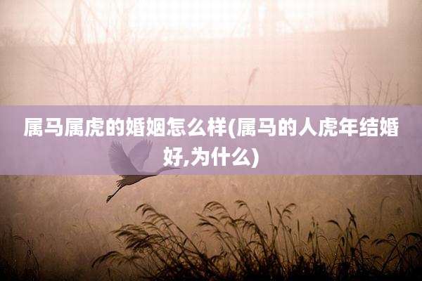 属马属虎的婚姻怎么样(属马的人虎年结婚好,为什么)