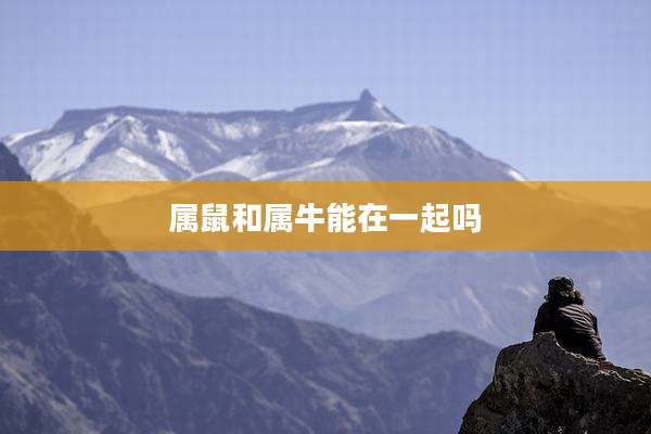 属鼠和属牛能在一起吗