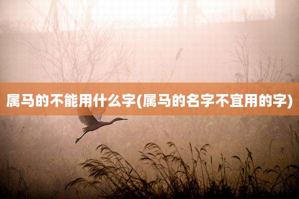 属马的不能用什么字(属马的名字不宜用的字)