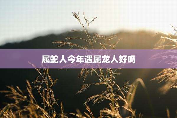属蛇人今年遇属龙人好吗