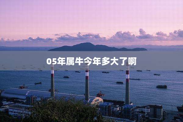 05年属牛今年多大了啊
