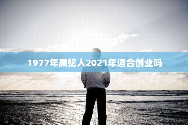 1977年属蛇人2021年适合创业吗