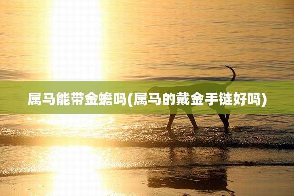 属马能带金蟾吗(属马的戴金手链好吗)