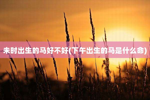 未时出生的马好不好(下午出生的马是什么命)