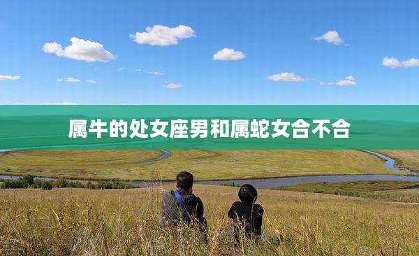 属牛的处女座男和属蛇女合不合