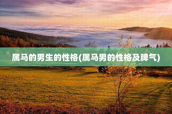 属马的男生的性格(属马男的性格及脾气)
