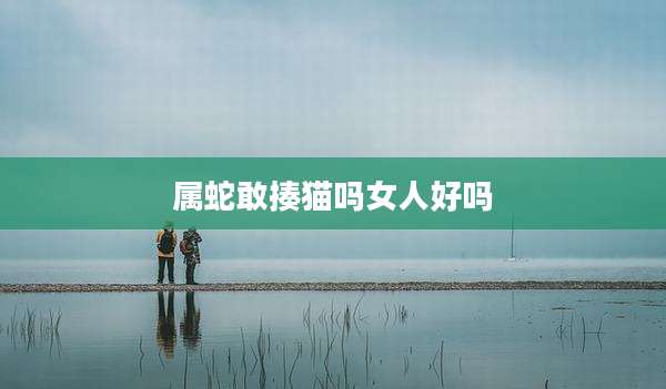 属蛇敢揍猫吗女人好吗