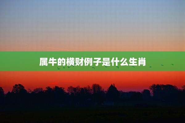 属牛的横财例子是什么生肖