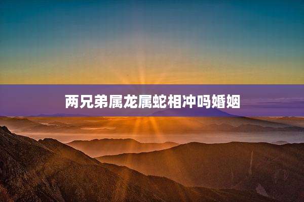 两兄弟属龙属蛇相冲吗婚姻